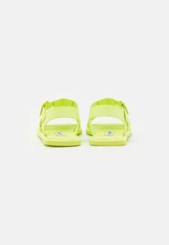 Steve Madden Danica - Sandalen - Lime -Steve Madden 2eedc2f5368d4ecd98a2e6a224ae3d6d