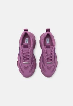 Steve Madden Possession - Sneakers Laag - Dark Lavender Paris -Steve Madden 5da094cef6c64ad58fe03c00c9a2691a