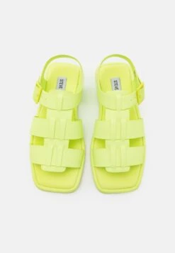 Steve Madden Danica - Sandalen - Lime -Steve Madden b965f84f6eae4eb088128a1d733f054a